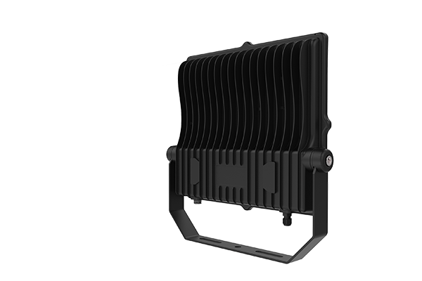 Econ LED flood light