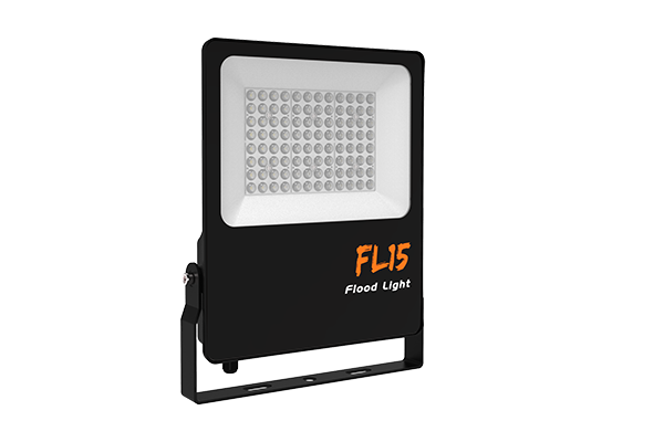 Econ LED flood light