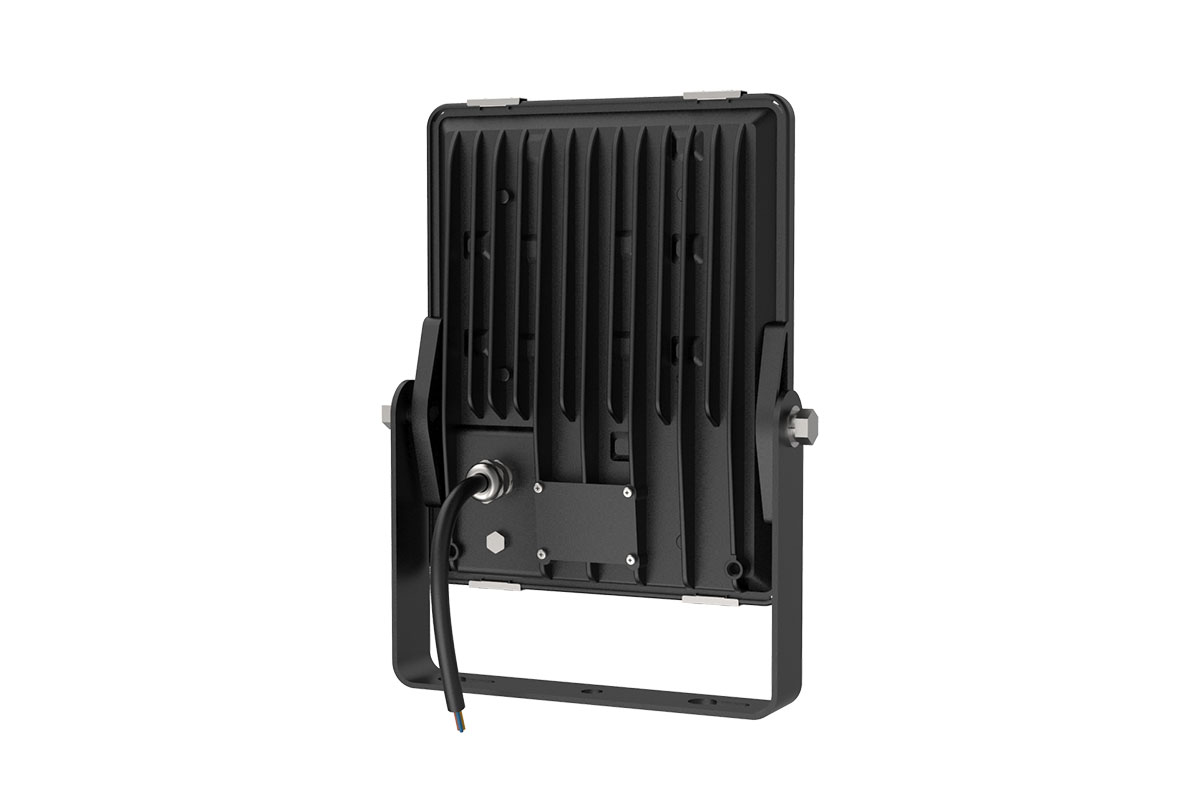 Rana LED flood light