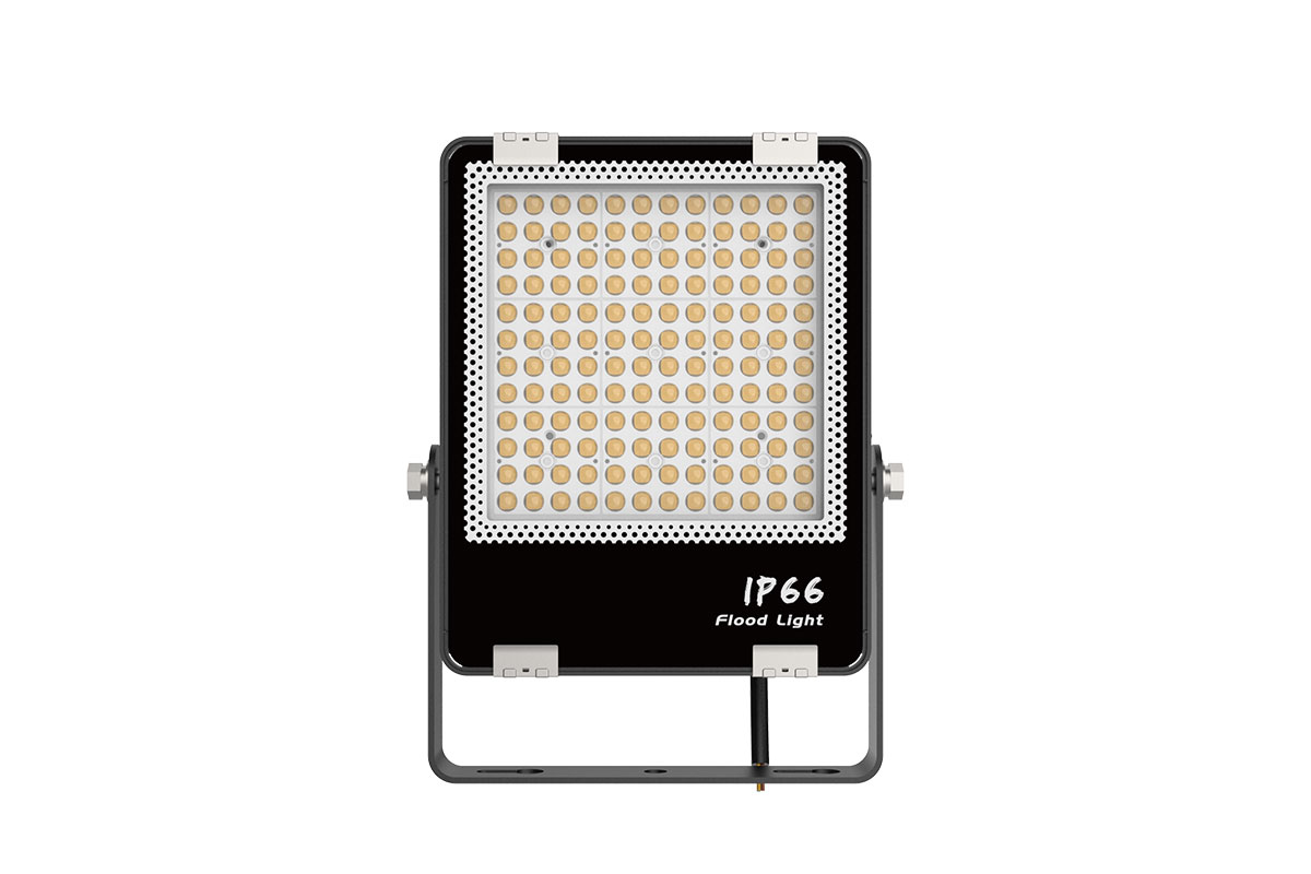 Rana LED flood light